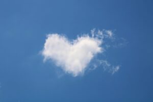 恋愛詐欺に遭ったらどうするべきか？